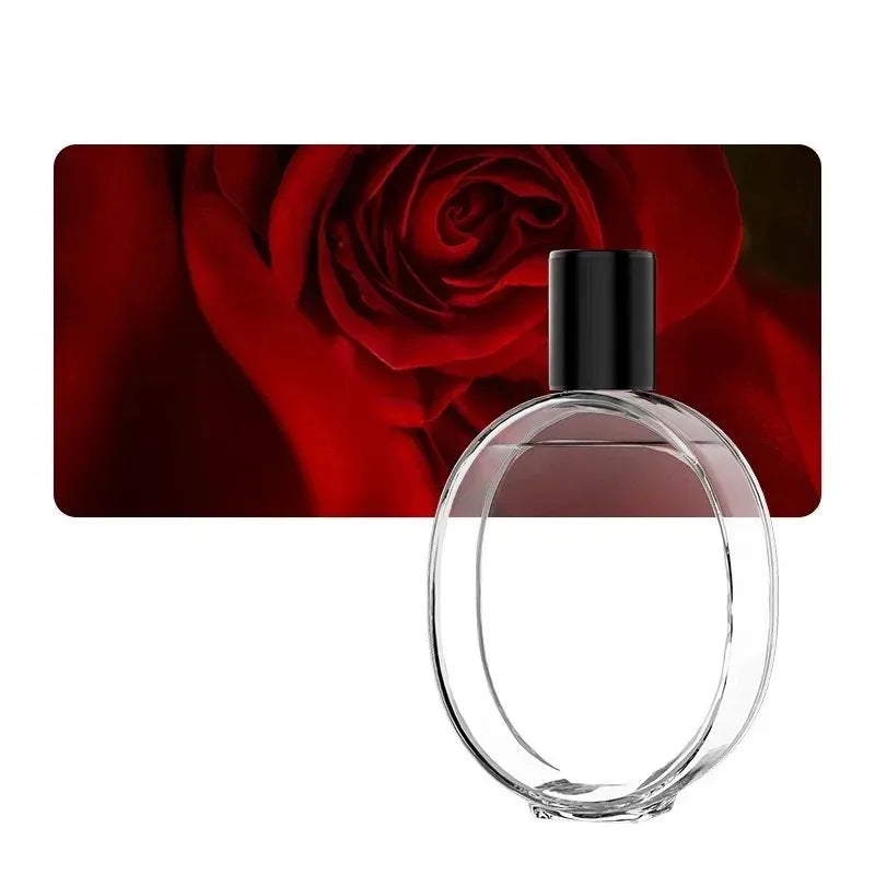 Portable USB Humidifier & Aroma Diffuser | Desktop Atomizer for Hydrating Mist, Essential Oils, and Home Office Name to come later