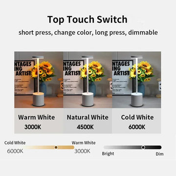 Modern Metal Touch Desk Lamp | 3-Color Adjustable, USB Rechargeable Bedside Light