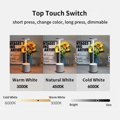 Modern Metal Touch Desk Lamp | 3-Color Adjustable, USB Rechargeable Bedside Light Name to come later